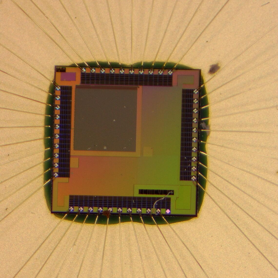 New Silicon Die Shot